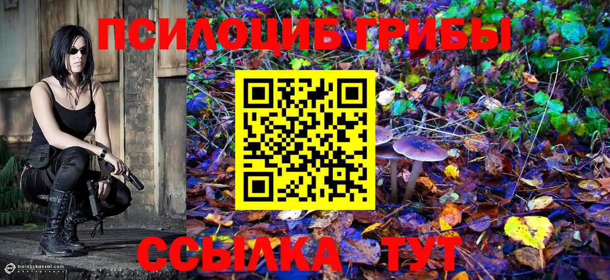 Псилоцибиновые грибы GOLDEN TEACHER Липецк